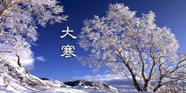 探探猫之飞刀大师