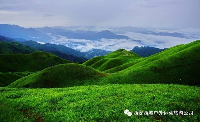 《隐入尘烟》导演回应撞款二舅视频，此片与二舅视频有哪些相似之处？游戏画面